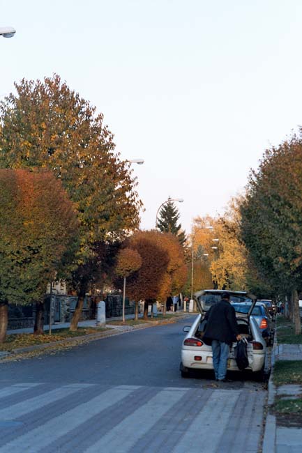 Komárov - ulice