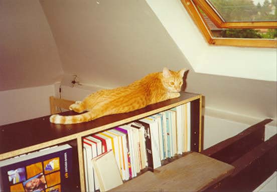 Cesanne - v Kobylisech