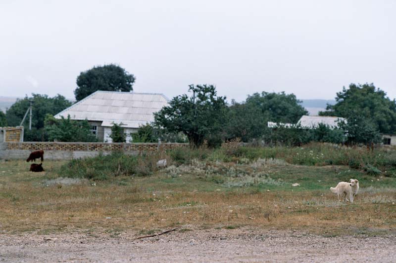 Bez názvu