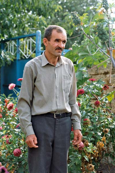 Arif