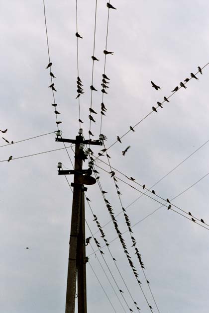 Podzim