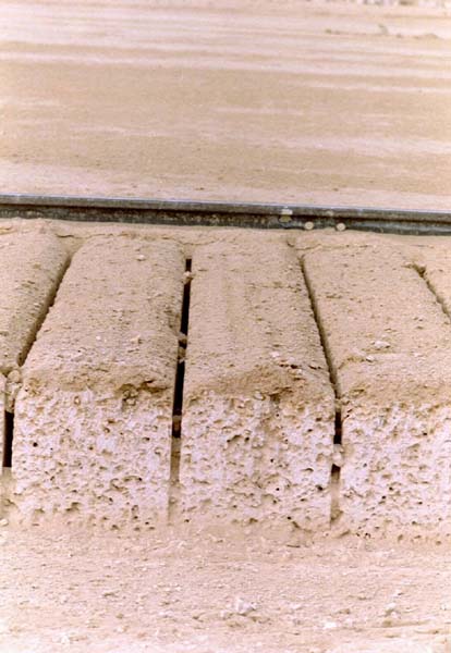Řez "rakúškou"