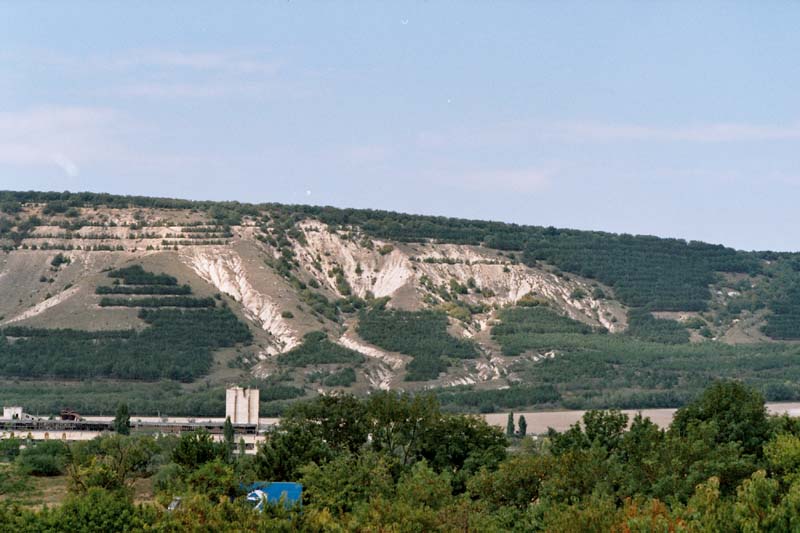 Bez názvu