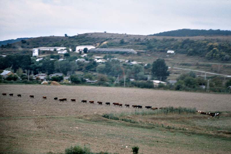 Pohled z auta II