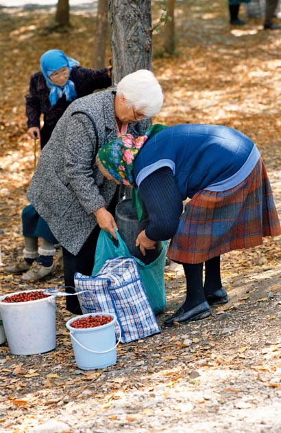 Nákup