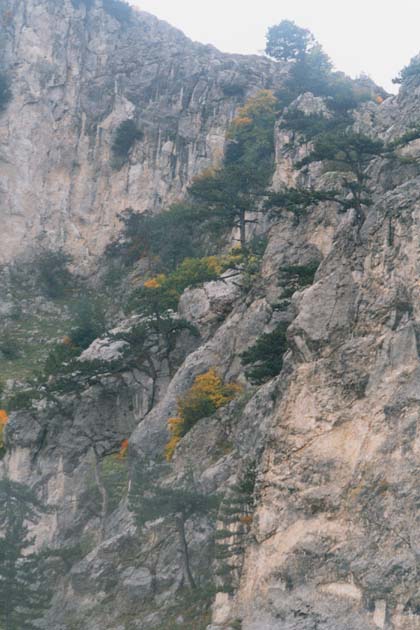 Hora z lanovky I