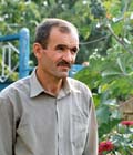 Arif