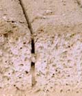 Řez - detail