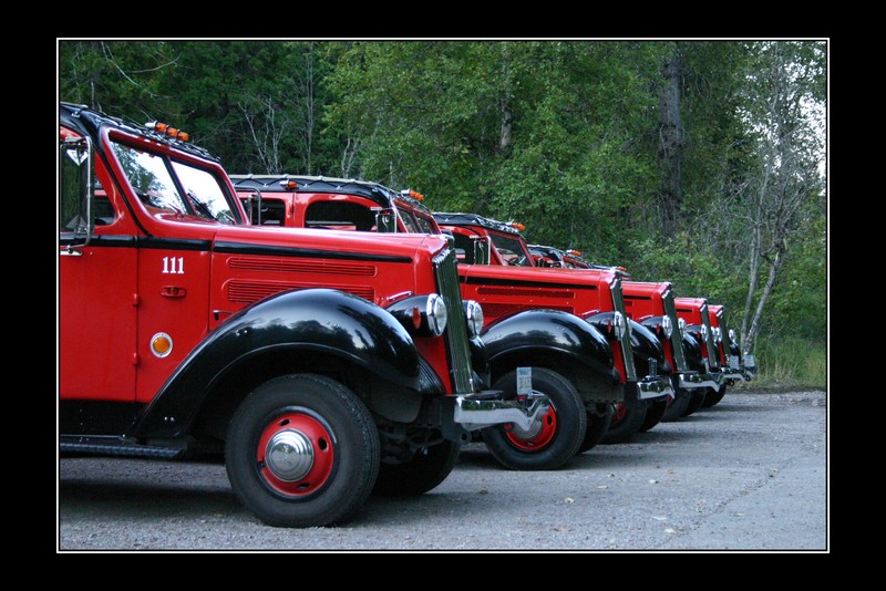 Red buses (Montana 2005)